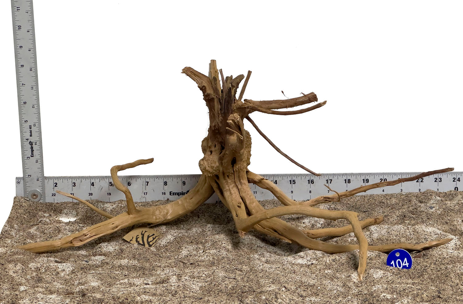 WYSIWYG #104BU - Pine Spider Wood / Tiger Wood (Large)