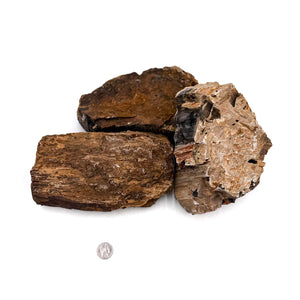 Petrified Wood Stone