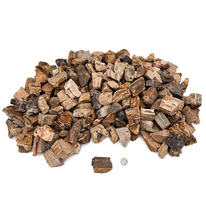 Petrified Wood Stone