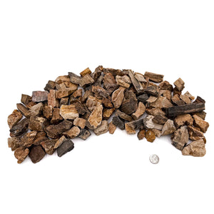 Petrified Wood Stone