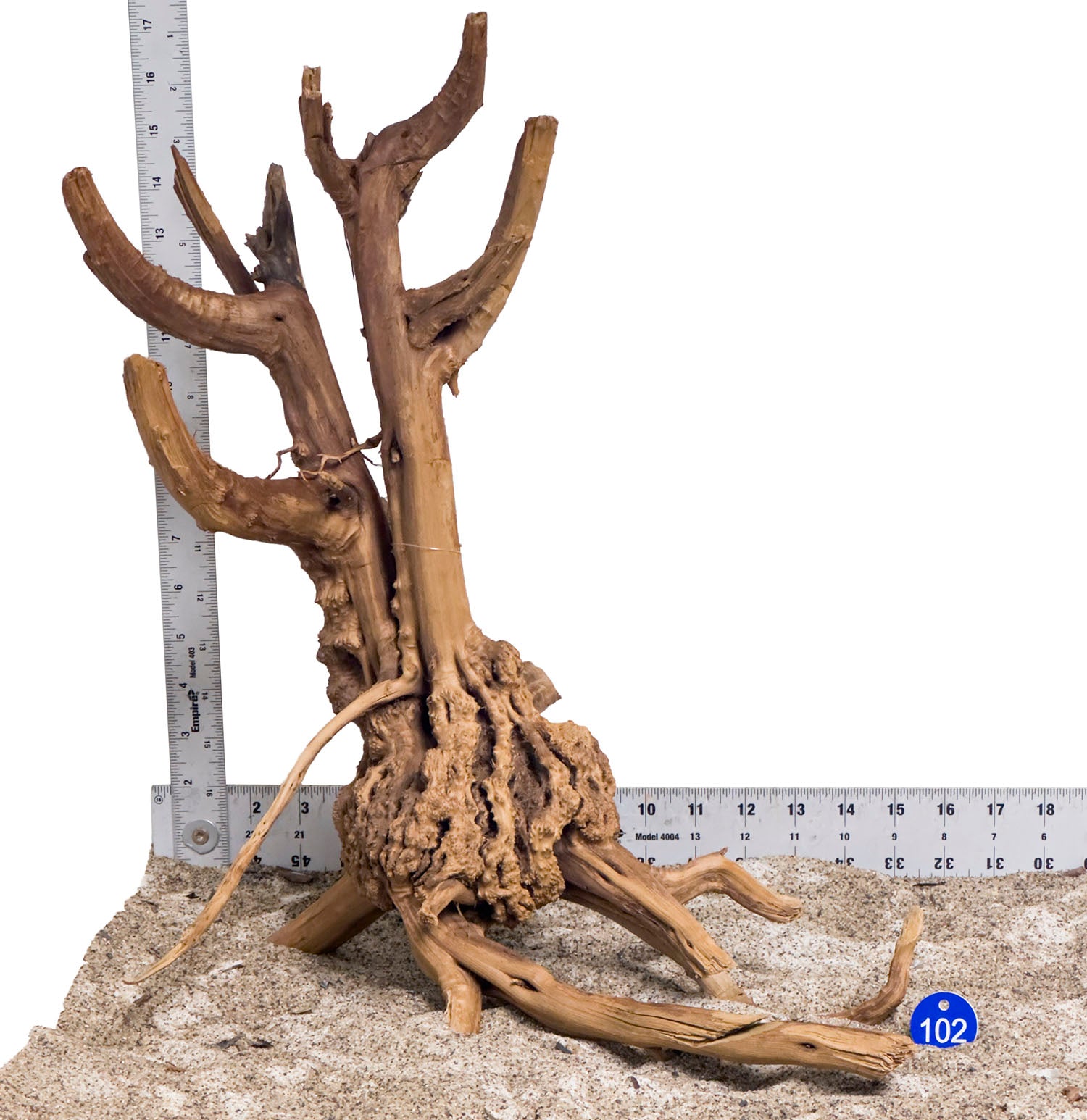 WYSIWYG #102BU - Pine Spider Wood / Tiger Wood (Large)