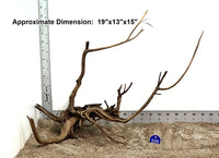 Thumbnail for WYSIWYG #105BU - Pine Spider Wood / Tiger Wood (Large)