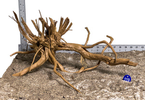 WYSIWYG #119BU - Pine Spider Wood / Tiger Wood (Large)