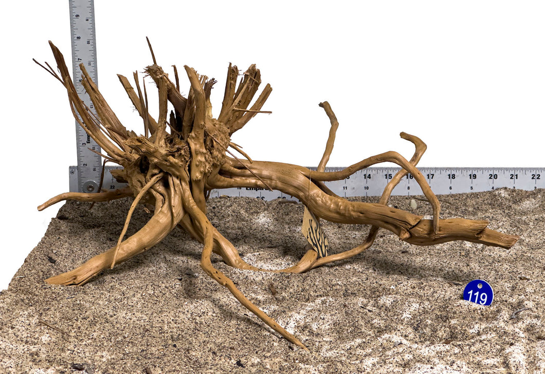 WYSIWYG #119BU - Pine Spider Wood / Tiger Wood (Large)