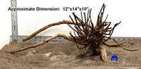 Thumbnail for WYSIWYG #137BU - Pine Spider Wood / Tiger Wood (Large)