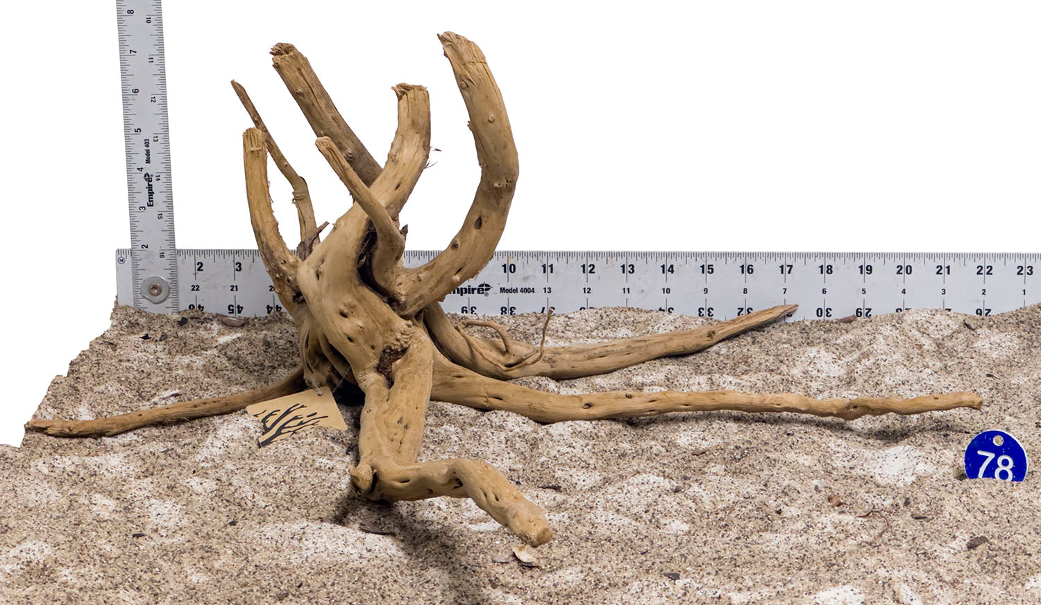 WYSIWYG #78BU - Pine Spider Wood / Tiger Wood (Large)