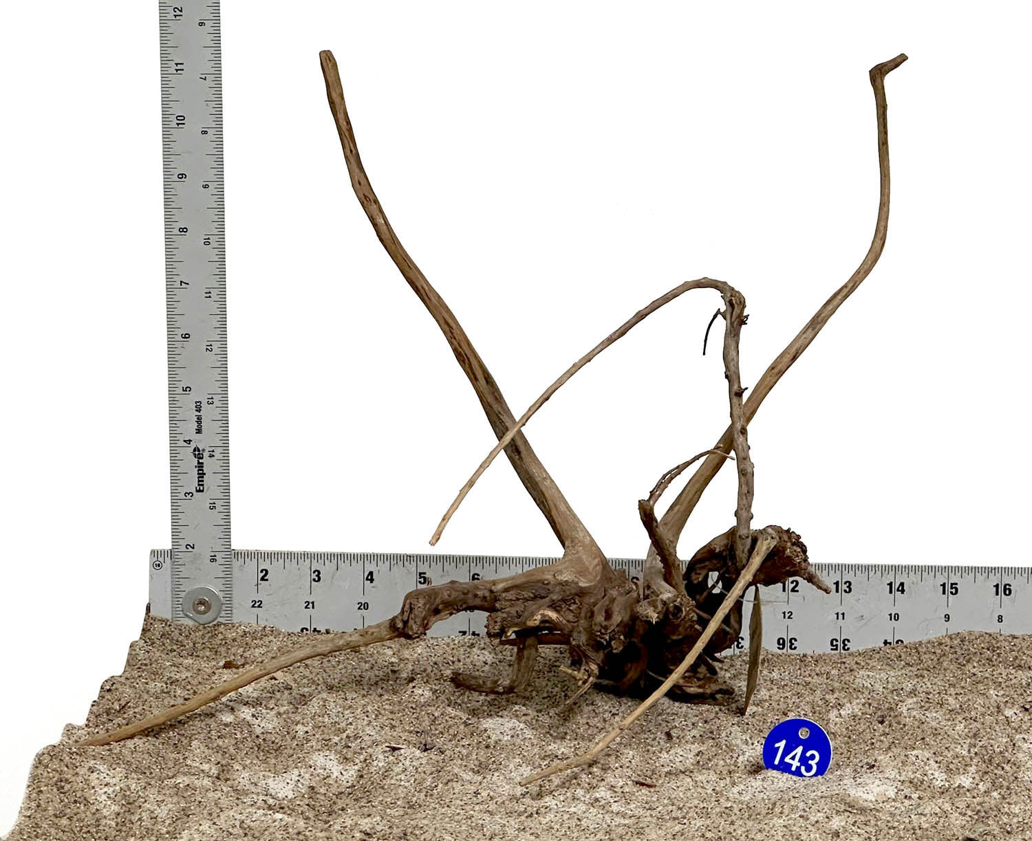 WYSIWYG #143BU - Pine Spider Wood / Tiger Wood (Medium)