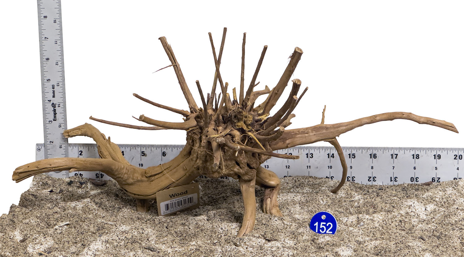 WYSIWYG #152BU - Pine Spider Wood / Tiger Wood (Medium)