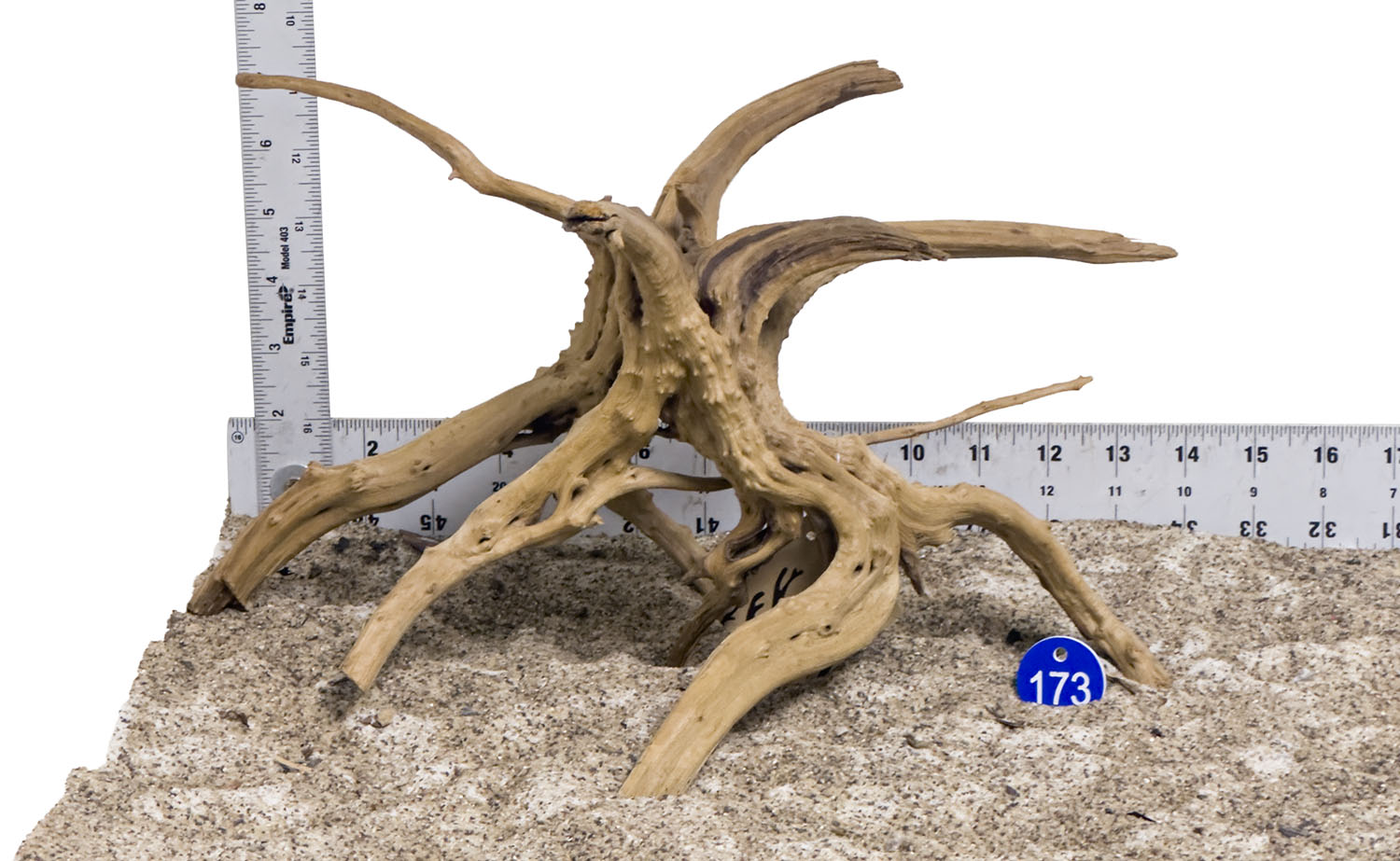 WYSIWYG #173BU - Pine Spider Wood / Tiger Wood (Medium)