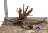 WYSIWYG #181BU - Pine Spider Wood / Tiger Wood (Medium)
