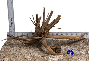 WYSIWYG #181BU - Pine Spider Wood / Tiger Wood (Medium)