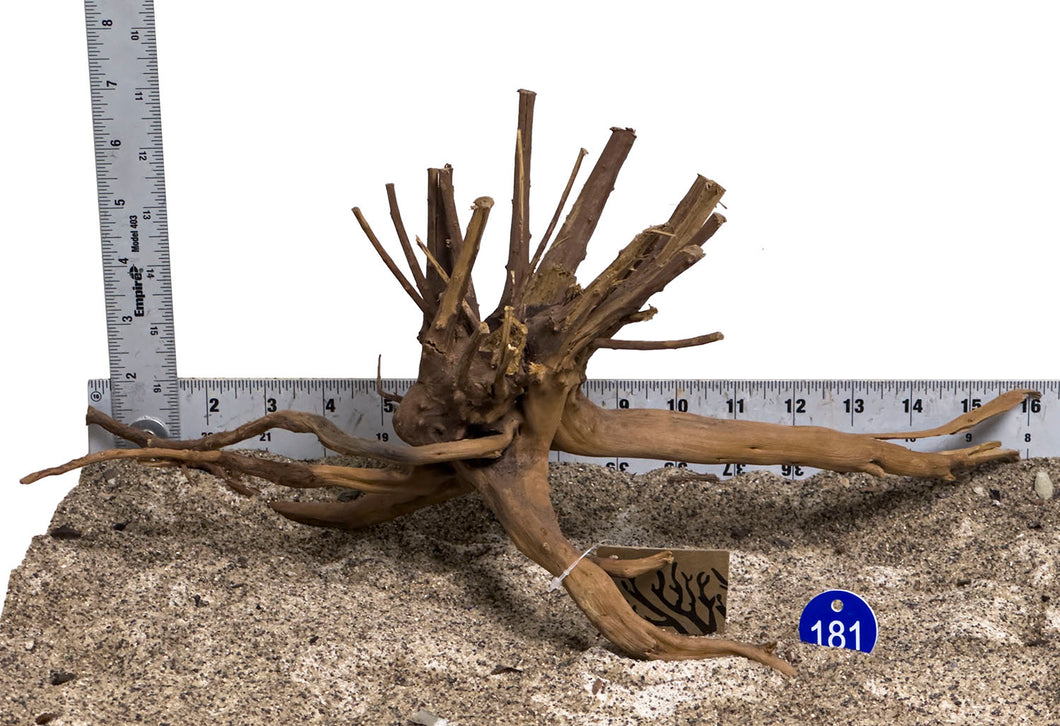 WYSIWYG #181BU - Pine Spider Wood / Tiger Wood (Medium)