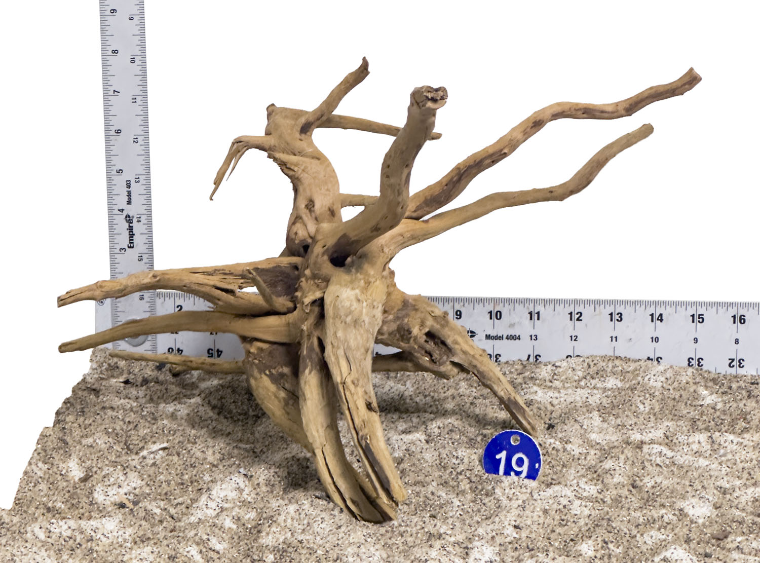 WYSIWYG #19BU - Pine Spider Wood / Tiger Wood (Medium)