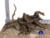 WYSIWYG #31BU - Pine Spider Wood / Tiger Wood (Medium)