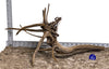 WYSIWYG #33BU - Pine Spider Wood / Tiger Wood (XL)