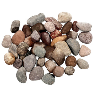 SR Aquaristik River Pebbles 1-2" 2-5cm 22 lbs Box