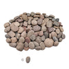 SR Aquaristik River Skippers 1-5" 2-12cm 44 lb Box