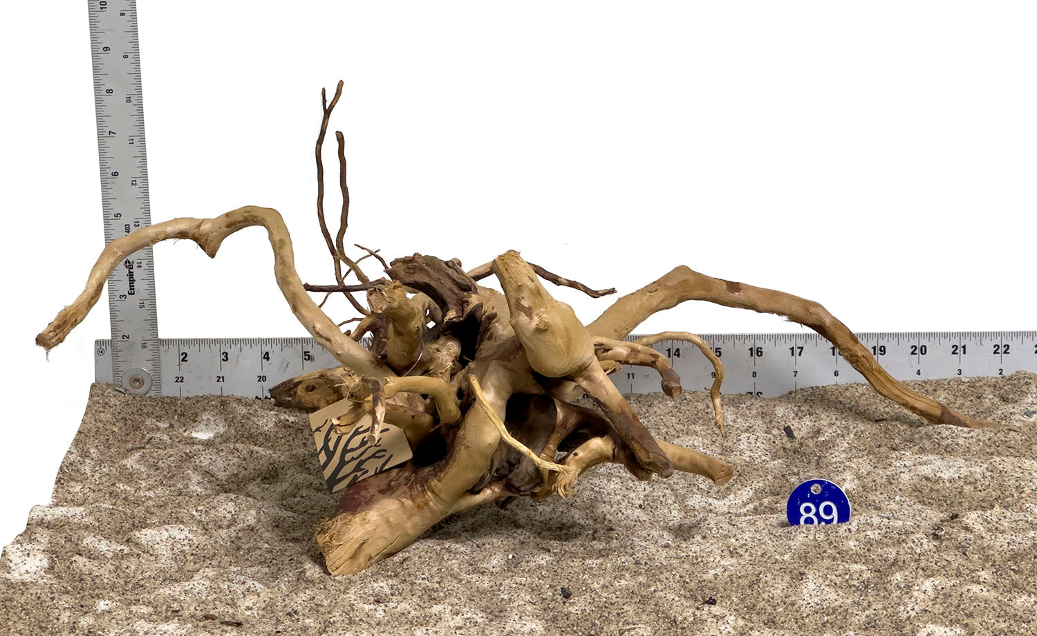 WYSIWYG #89BU - Spider Wood (Large)