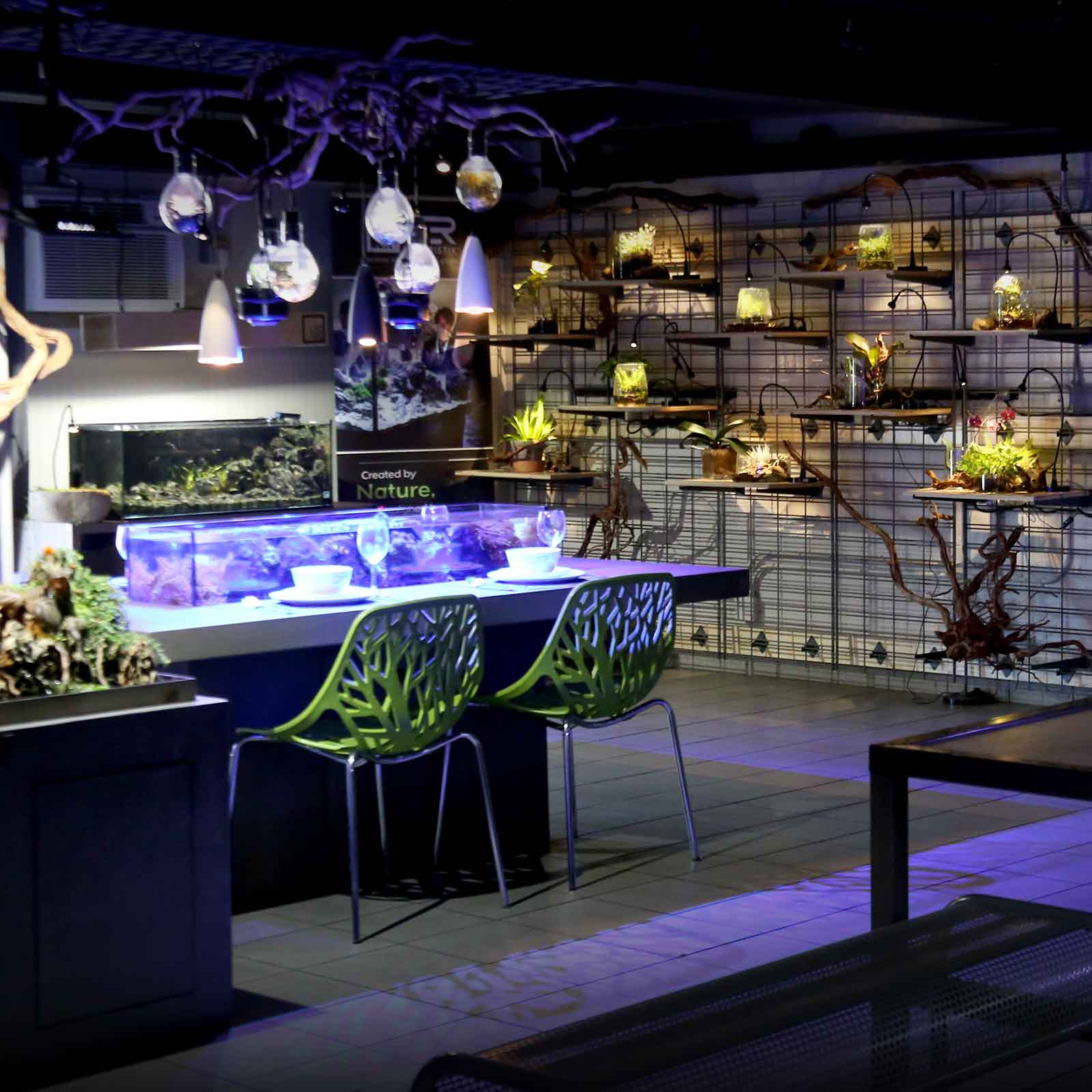 Online Aquarium Supply Store | SR Aquaristik