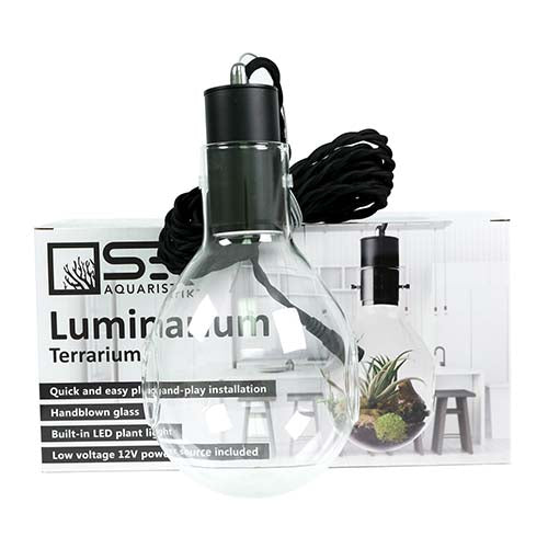 Luminarium Terrarium