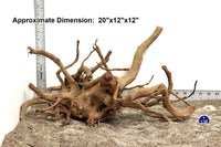 Thumbnail for WYSIWYG #136BU - Spider Wood (Large)
