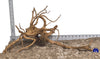 WYSIWYG #14BU - Spider Wood (Large)