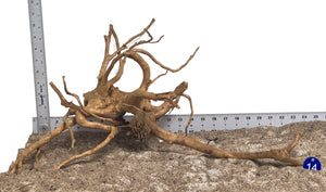 WYSIWYG #14BU - Spider Wood (Large)