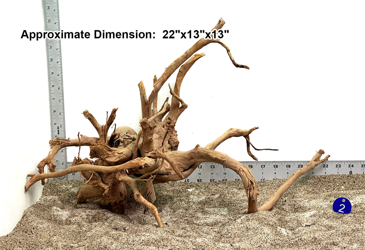 WYSIWYG #2BU - Spider Wood (Large)