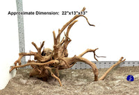 Thumbnail for WYSIWYG #2BU - Spider Wood (Large)