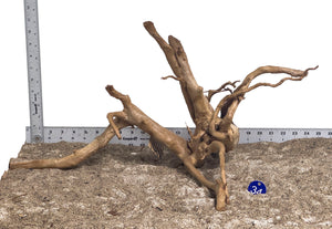 WYSIWYG #34BU - Spider Wood (Large)