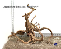 Thumbnail for WYSIWYG #62BU - Spider Wood (Large)