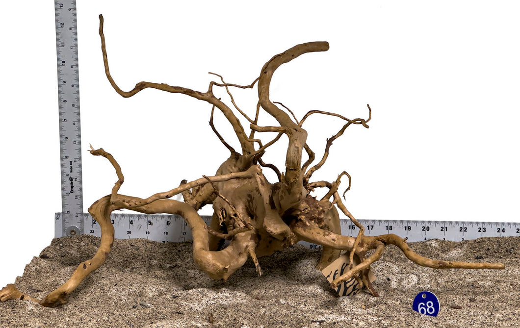 WYSIWYG #68BU - Spider Wood (Large)