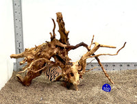 Thumbnail for WYSIWYG #102BU - Spider Wood (Medium)
