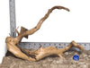 WYSIWYG #142BU - Spider Wood (Medium)