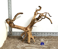 Thumbnail for WYSIWYG #159BU - Spider Wood (Medium)