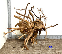 Thumbnail for WYSIWYG #196BU - Spider Wood (Medium)