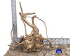 WYSIWYG #58BU - Spider Wood (Small)