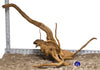WYSIWYG #63BU - Spider Wood (XL)