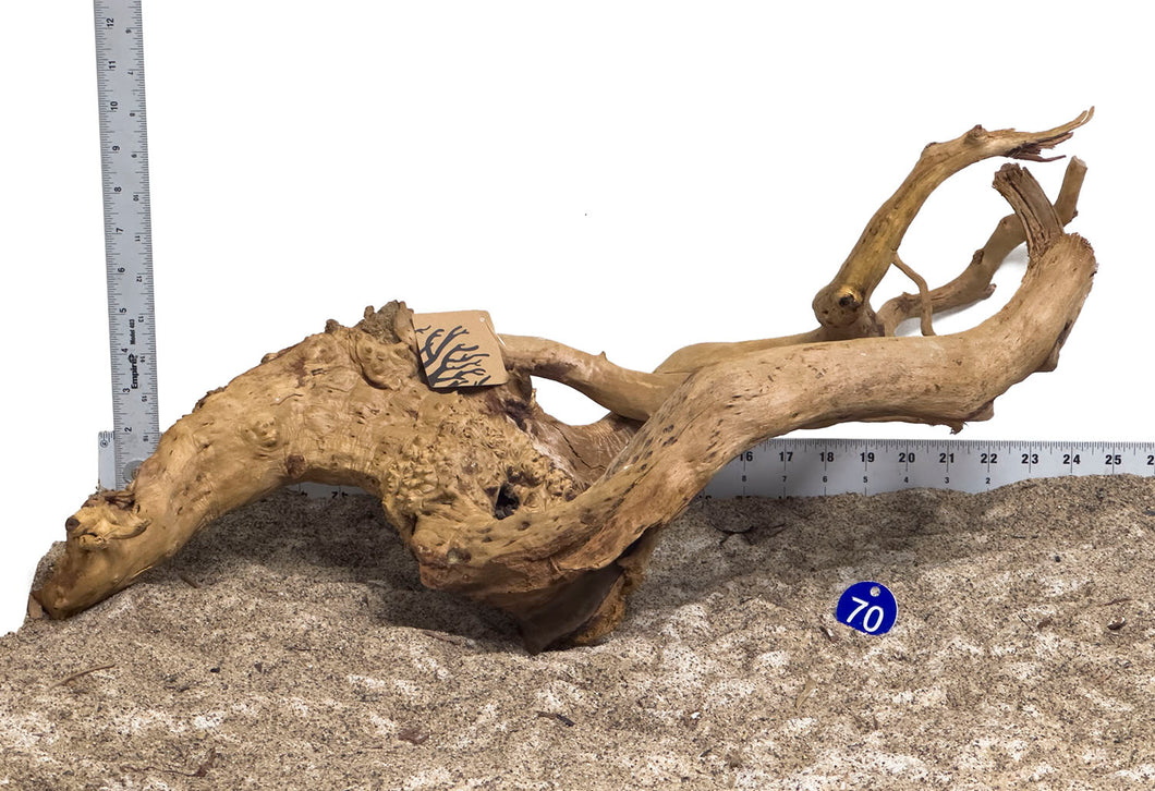 WYSIWYG #70BU - Spider Wood (XL)