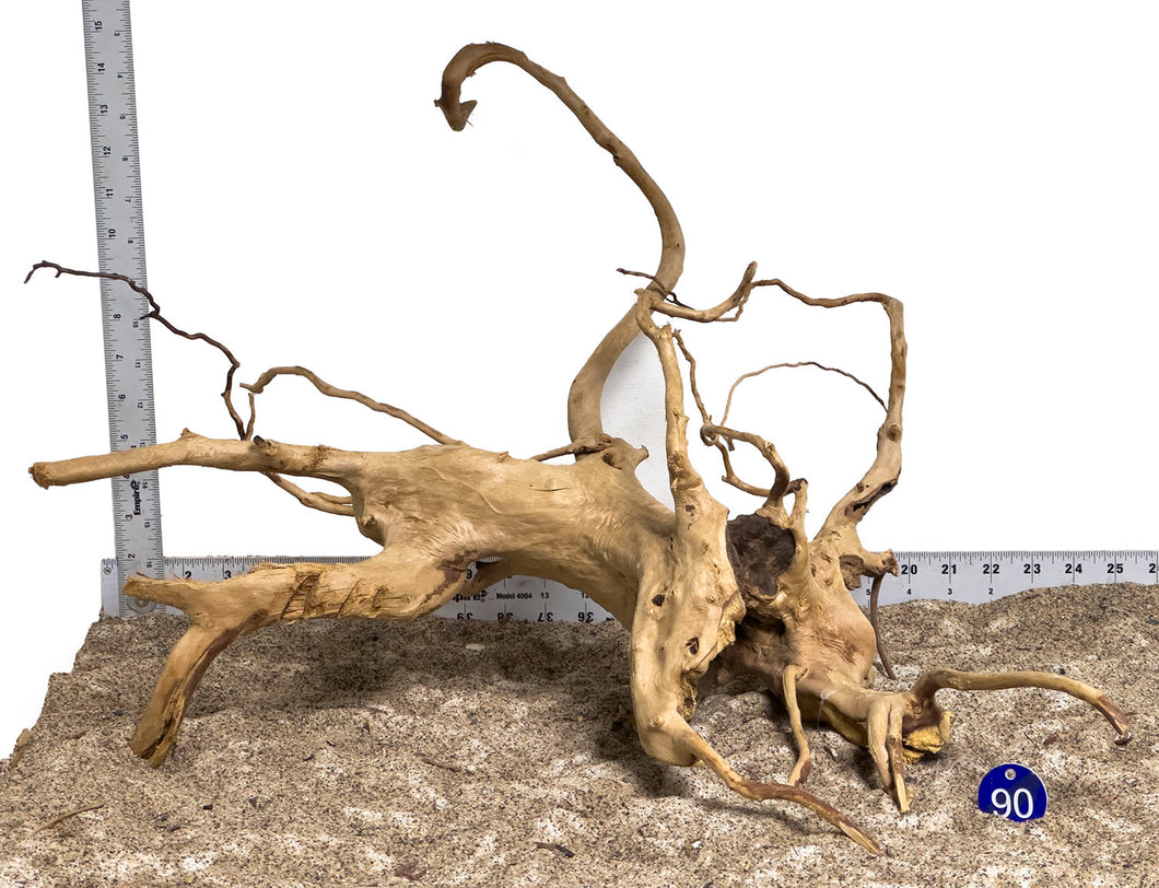 WYSIWYG #90BU - Spider Wood (XL)