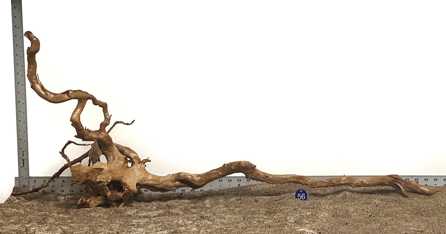 WYSIWYG #56BU - Spider Wood (XXL)