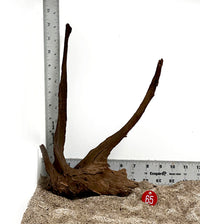 Thumbnail for WYSIWYG #65RD - Weathered Driftwood (Medium)