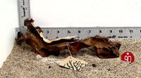 Thumbnail for WYSIWYG #90RD - Weathered Driftwood (Mini)