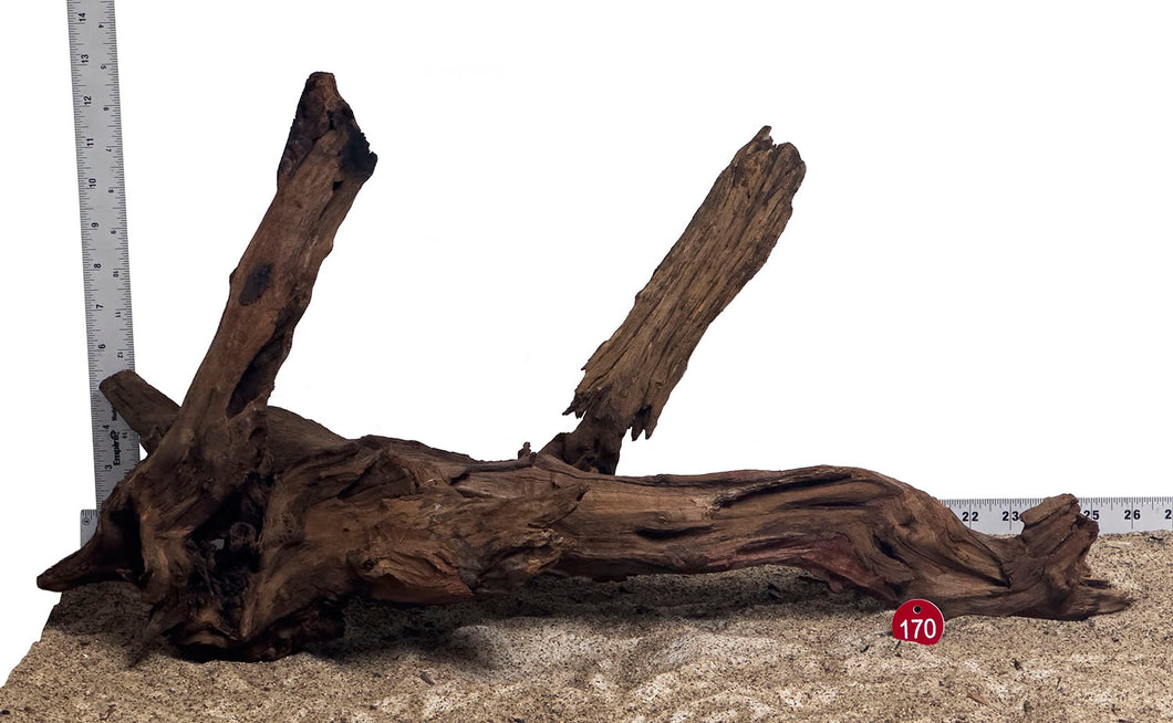WYSIWYG #170RD - Weathered Driftwood (XXL)