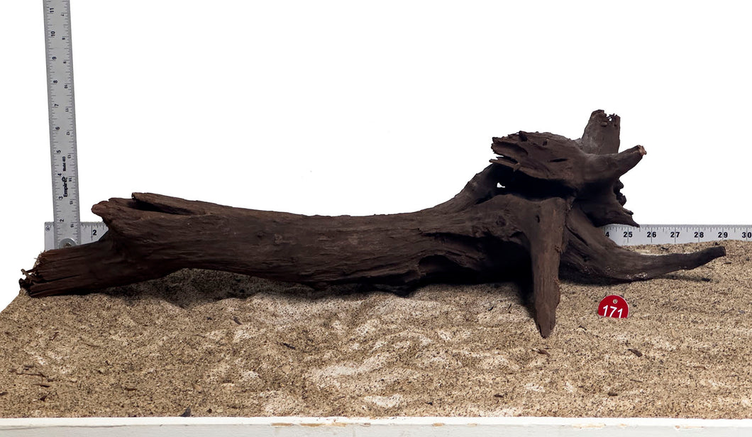 WYSIWYG #171RD - Weathered Driftwood (XXL)
