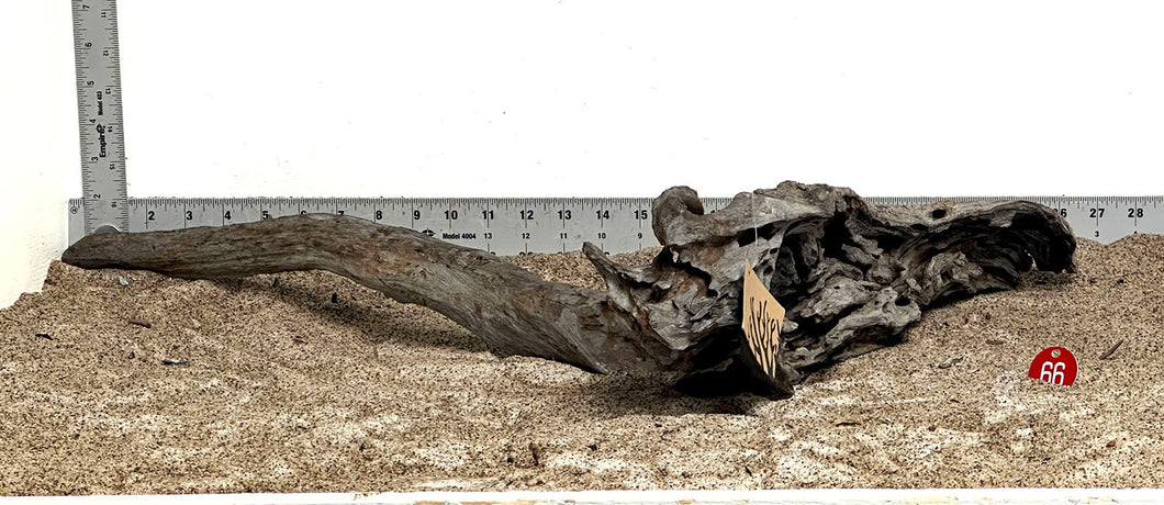 WYSIWYG #66RD - Weathered Driftwood (XXL)