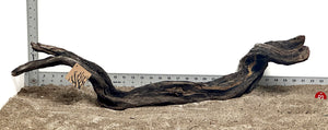 WYSIWYG #83RD - Weathered Driftwood (XXL)