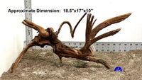 Thumbnail for WYSIWYG #195BU - Weathered Spider Wood (Large)