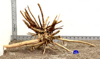 Thumbnail for WYSIWYG #199BU - Weathered Spider Wood (Large)