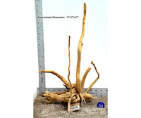 Thumbnail for WYSIWYG #34BU - Weathered Spider Wood (Large)